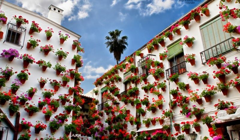 Празникът за душата – фестивалът на цветята в Кордоба (снимки)