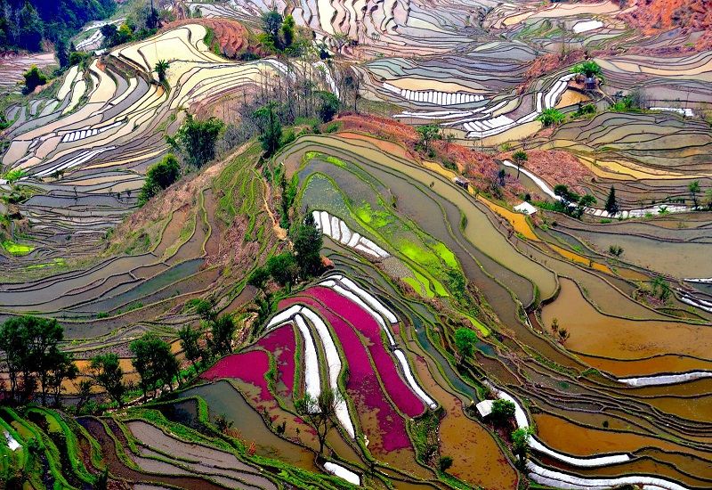 Вероятно Бог е подсказал на китайците да направят тези изумителни тераси (снимки)