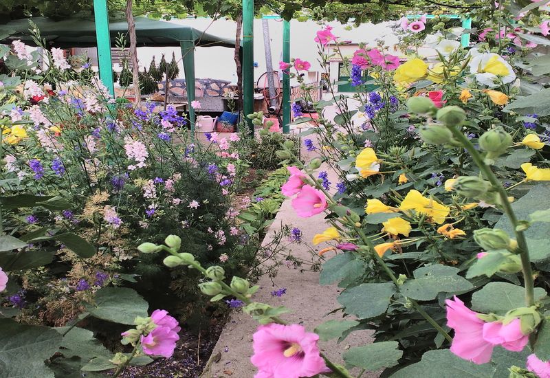 Самоуките частни паркове и цветни тротоари в Ново село (снимки)