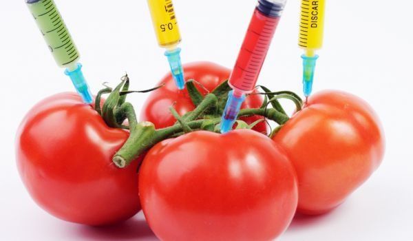 Американски професор: ГМО ще унищожат живота на Земята
